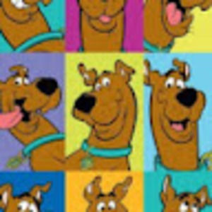 Meet your Posher, Patience